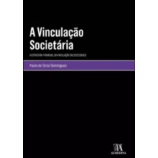 A Vinculação Societária: A Estrutura Piramidal Da Vinculação Das Sociedades