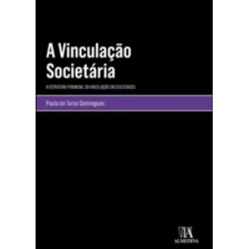 A Vinculação Societária: A Estrutura Piramidal Da Vinculação Das Sociedades