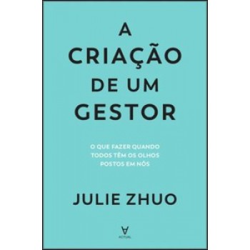 A Criação De Um Gestor:  o Que Fazer Quando Todos Têm Os Olhos Postos Em Nós